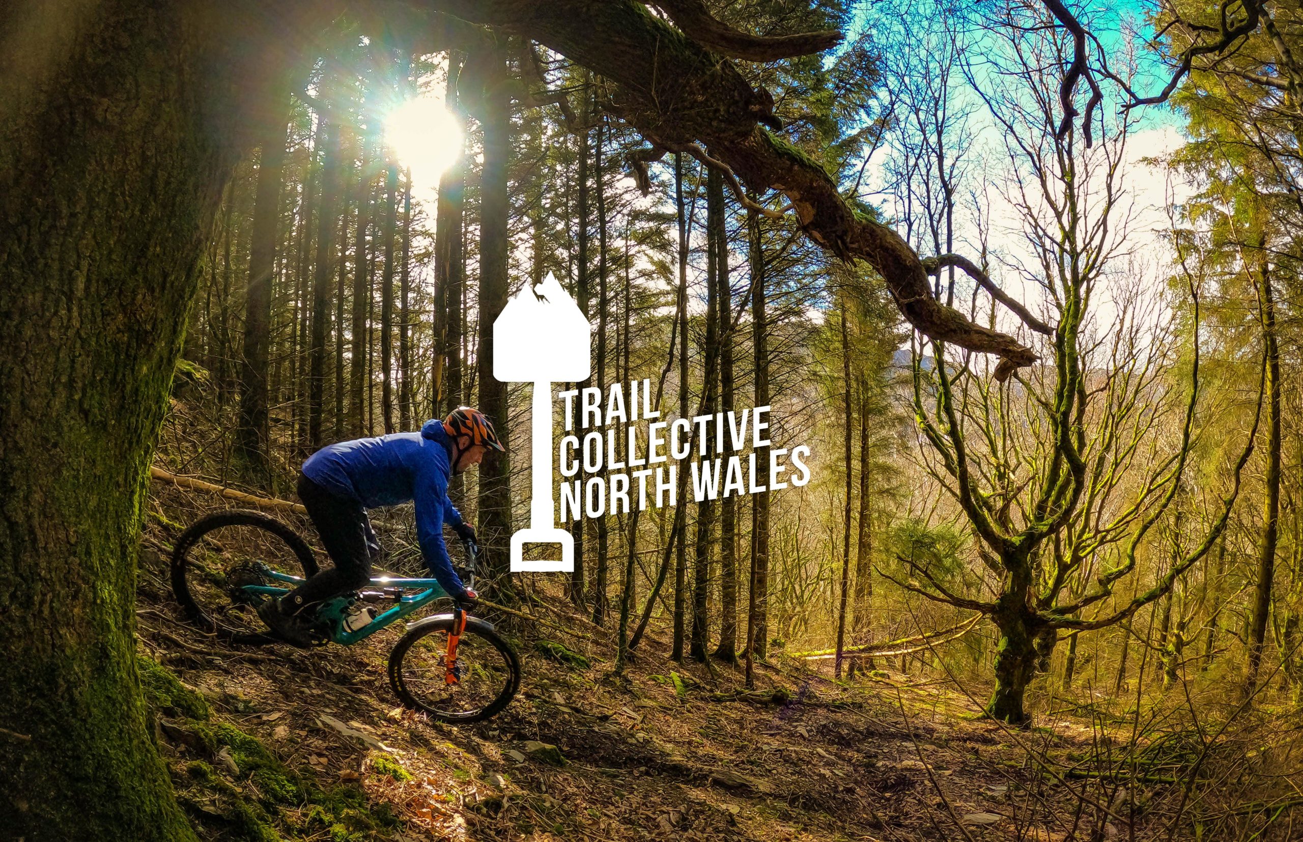 Mountain bike rider through a sun lit woods.